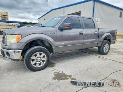 2011 FORD F150 SUPERCREW 1FTFW1ETXBFC29612 - główne zdjęcie licytacji z USA - miniatura