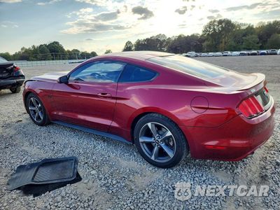 Drugie zdjęcie samochodu z przodu: 2015 FORD MUSTANG VIN:1FA6P8AM1F5362555 - miniatura