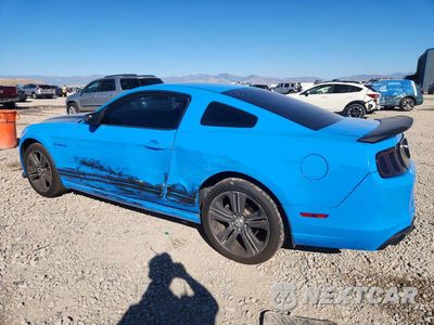 Drugie zdjęcie samochodu z przodu: 2013 FORD MUSTANG BASE VIN:1ZVBP8AM0D5276804 - miniatura