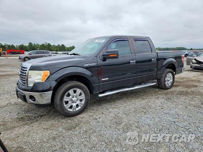 2012 FORD F150 SUPERCREW 1FTFW1CT1CFA65297 - główne zdjęcie licytacji z USA - miniatura