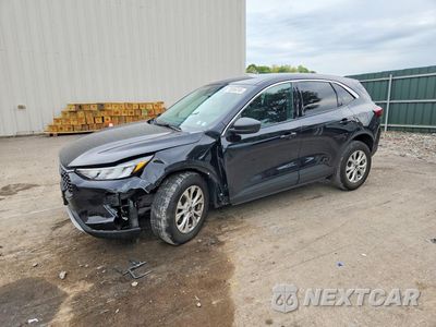 2024 FORD ESCAPE ACTIVE 1FMCU9GN0RUA09354 - główne zdjęcie licytacji z USA - miniatura