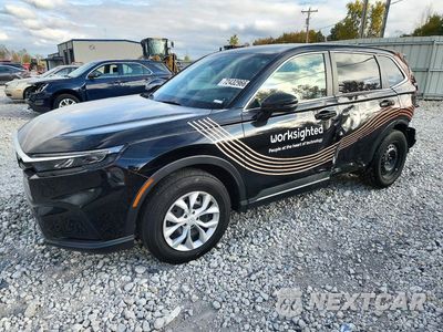 2025 HONDA CR-V LX 7FARS4H21SE000905 - główne zdjęcie licytacji z USA - miniatura