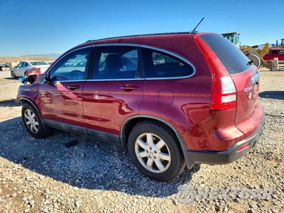 Drugie zdjęcie samochodu z przodu: 2009 HONDA CR-V EXL VIN:5J6RE38789L009689 - miniatura