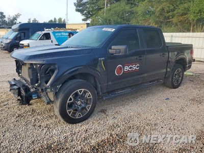 2025 FORD F150 STX 1FTEW2LP9SKE01305 - główne zdjęcie licytacji z USA - miniatura
