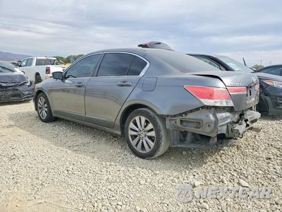 Drugie zdjęcie samochodu z przodu: 2011 HONDA ACCORD LXP VIN:1HGCP2F49BA020485 - miniatura