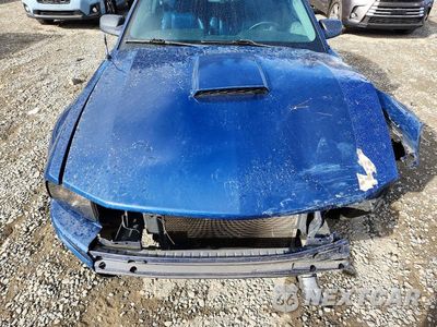 Zdjęcie 11 z 13 samochodu: 2008 FORD MUSTANG VIN:1ZVHT80N685126136 - miniatura