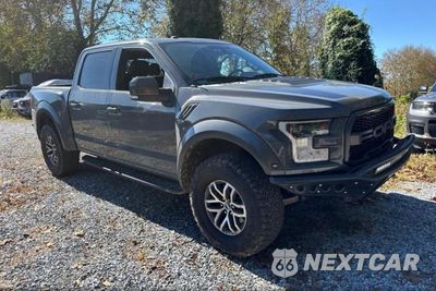 2018 FORD F150 RAPTOR 1FTFW1RG7JFA15690 - główne zdjęcie licytacji z USA - miniatura