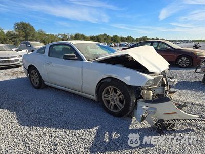 Czwarte zdjęcie samochodu z boku: 2014 FORD MUSTANG VIN:1ZVBP8AM7E5274758 - miniatura