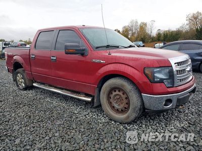 Czwarte zdjęcie samochodu z boku: 2013 FORD F150 SUPERCREW VIN:1FTFW1EF4DFD54182 - miniatura