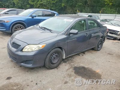 2010 TOYOTA COROLLA LE 2T1BU4EE2AC300090 - główne zdjęcie licytacji z USA - miniatura