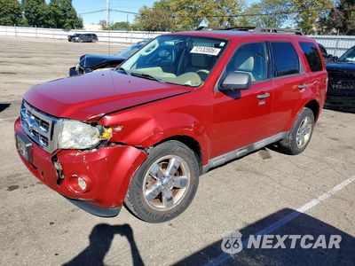 2011 FORD ESCAPE XLT 1FMCU0DG6BKA21026 - główne zdjęcie licytacji z USA - miniatura