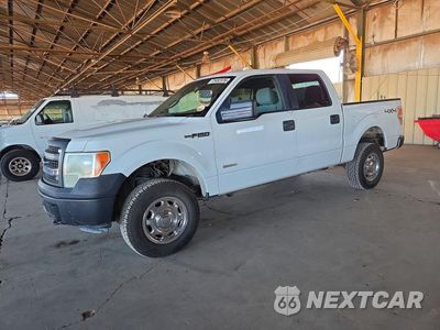 2013 FORD F150 SUPERCREW 1FTFW1ET6DKF21994 - główne zdjęcie licytacji z USA - miniatura
