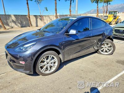 2024 TESLA MODEL Y 7SAYGDED4RF058454 - główne zdjęcie licytacji z USA - miniatura
