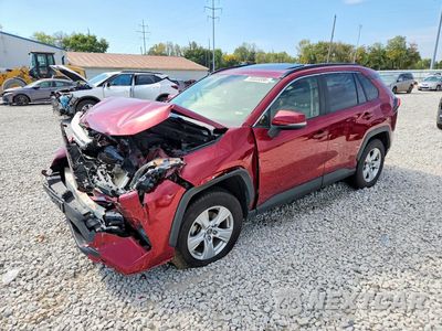 2019 TOYOTA RAV4 XLE JTMP1RFV5KD004799 - główne zdjęcie licytacji z USA - miniatura