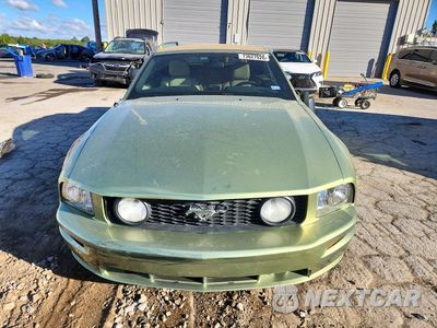 Piąte zdjęcie samochodu w środku: 2006 FORD MUSTANG GT VIN:1ZVHT85H865158361 - miniatura