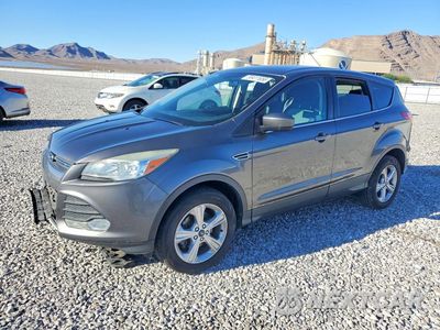 2013 FORD ESCAPE SE 1FMCU0GX9DUD91230 - główne zdjęcie licytacji z USA - miniatura