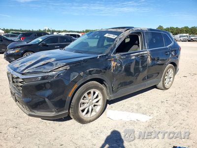 2026 HONDA CR-V EX 2HKRS3H4XTH307841 - główne zdjęcie licytacji z USA - miniatura