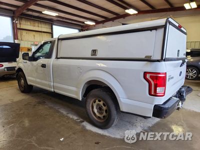 Drugie zdjęcie samochodu z przodu: 2016 FORD F150 VIN:1FTMF1CF8GKD99325 - miniatura