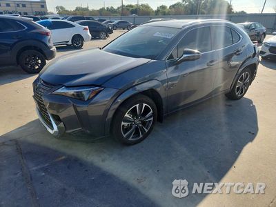 2025 LEXUS UX 300H PREMIUM JTHYBJAH8S2027623 - główne zdjęcie licytacji z USA - miniatura