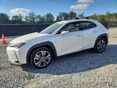 2019 LEXUS UX 250H JTHU9JBH8K2010796 - główne zdjęcie licytacji z USA - miniatura