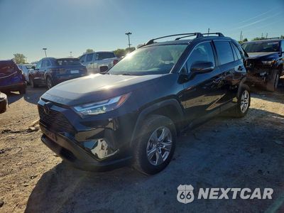 2025 TOYOTA RAV4 XLE 2T3P1RFV0SW568508 - główne zdjęcie licytacji z USA - miniatura