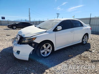 2009 TOYOTA COROLLA XRS 1NXBE40E89Z142773 - główne zdjęcie licytacji z USA - miniatura
