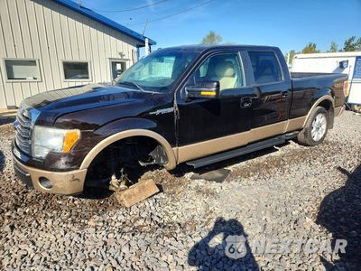 2013 FORD F150 SUPERCREW 1FTFW1EF3DKE92660 - główne zdjęcie licytacji z USA - miniatura