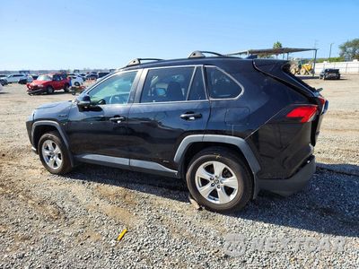 Drugie zdjęcie samochodu z przodu: 2021 TOYOTA RAV4 XLE VIN:4T3RWRFV2MU028218 - miniatura