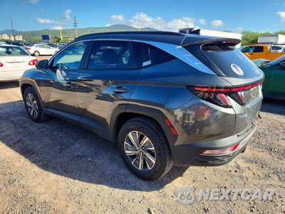 Drugie zdjęcie samochodu z przodu: 2023 HYUNDAI TUCSON BLUE VIN:KM8JBCA16PU085643 - miniatura