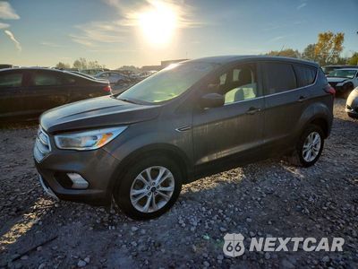 2019 FORD ESCAPE SE 1FMCU9GD7KUB81314 - główne zdjęcie licytacji z USA - miniatura