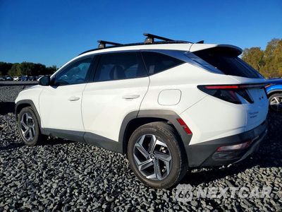 Drugie zdjęcie samochodu z przodu: 2024 HYUNDAI TUCSON LIMITED VIN:KM8JECD1XRU234495 - miniatura