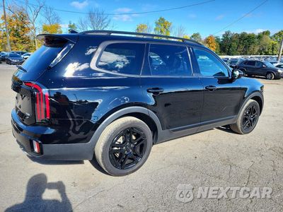 Trzecie zdjęcie samochodu z tyłu: 2025 KIA TELLURIDE SX X-LINE VIN:5XYP5DGC6SG588765 - miniatura
