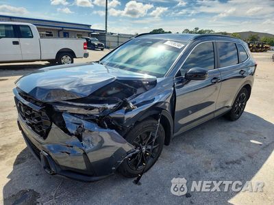 2024 HONDA CR-V SPORT 7FARS5H54RE007406 - główne zdjęcie licytacji z USA - miniatura