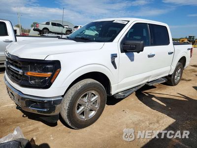 2024 FORD F150 XLT 1FTFW3L57RKD31614 - główne zdjęcie licytacji z USA - miniatura