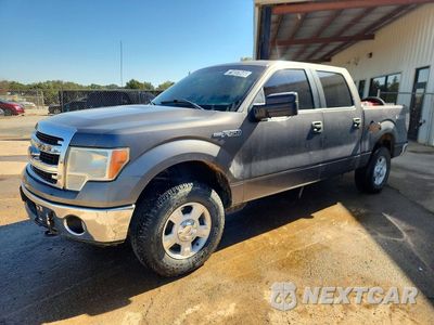 2013 FORD F150 SUPERCREW 1FTFW1EF6DFA06433 - główne zdjęcie licytacji z USA - miniatura