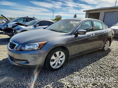 2008 HONDA ACCORD EXL 1HGCP36878A068780 - główne zdjęcie licytacji z USA - miniatura