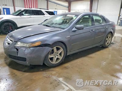 2006 ACURA 3.2TL 19UUA66216A013774 - główne zdjęcie licytacji z USA - miniatura