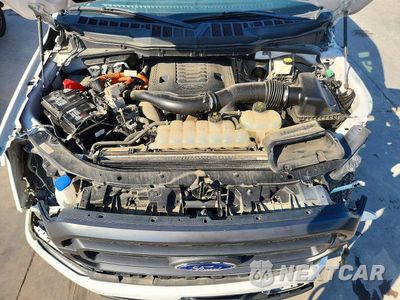 Zdjęcie 11 z 12 samochodu: 2021 FORD F150 SUPERCREW VIN:1FTFW1EDXMFC63562 - miniatura