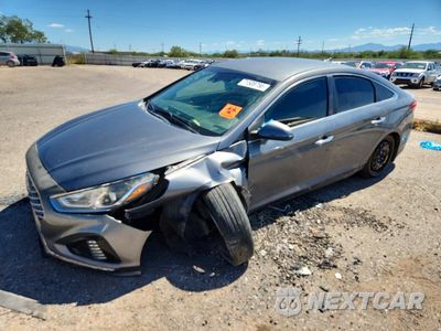2019 HYUNDAI SONATA SEL 5NPE34AF6KH814313 - główne zdjęcie licytacji z USA - miniatura