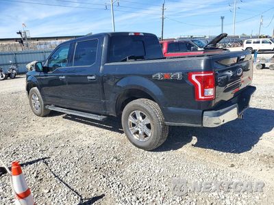 Drugie zdjęcie samochodu z przodu: 2015 FORD F150 SUPERCREW VIN:1FTEW1EF7FFB31259 - miniatura