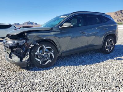 2024 HYUNDAI TUCSON LIMITED 5NMJECDE2RH310192 - główne zdjęcie licytacji z USA - miniatura