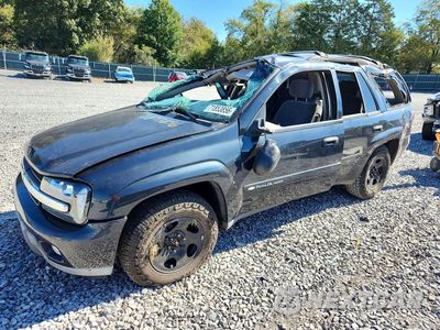 2003 CHEVROLET TRAILBLAZER 1GNDT13S532401880 - główne zdjęcie licytacji z USA - miniatura