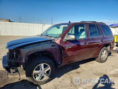 2007 CHEVROLET TRAILBLAZER LS 1GNDS13S172166211 - główne zdjęcie licytacji z USA - miniatura