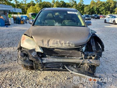 Piąte zdjęcie samochodu w środku: 2010 HONDA CR-V EXL VIN:5J6RE3H71AL019999 - miniatura