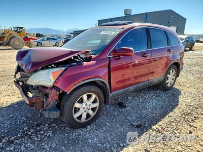 2009 HONDA CR-V EXL 5J6RE38789L009689 - główne zdjęcie licytacji z USA - miniatura