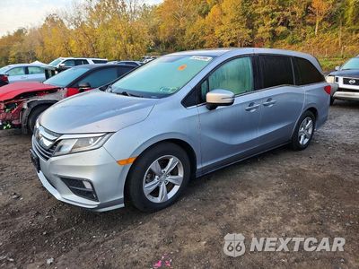 2020 HONDA ODYSSEY EXL 5FNRL6H74LB066849 - główne zdjęcie licytacji z USA - miniatura