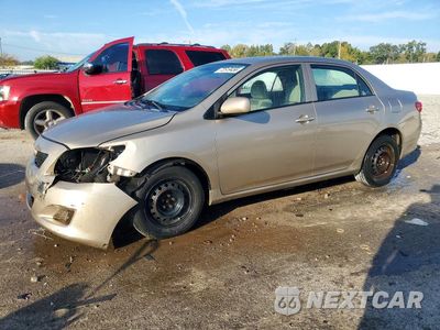 2010 TOYOTA COROLLA LE 1NXBU4EE8AZ249600 - główne zdjęcie licytacji z USA - miniatura