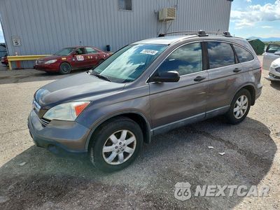 2009 HONDA CR-V EX 5J6RE48519L013166 - główne zdjęcie licytacji z USA - miniatura