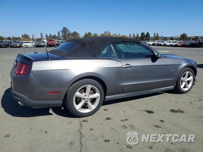 Trzecie zdjęcie samochodu z tyłu: 2010 FORD MUSTANG GT VIN:1ZVBP8FH4A5146905 - miniatura