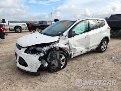 2014 FORD ESCAPE SE 1FMCU0G99EUD52205 - główne zdjęcie licytacji z USA - miniatura